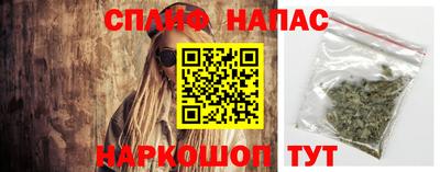 спиды Кингисепп