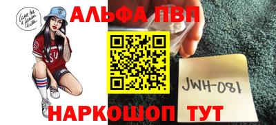 спиды Кингисепп