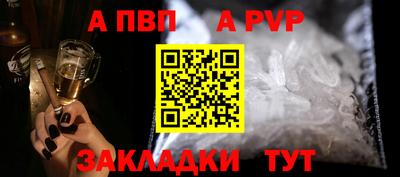 спиды Кингисепп