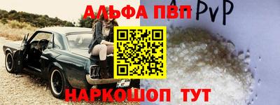 спиды Кингисепп