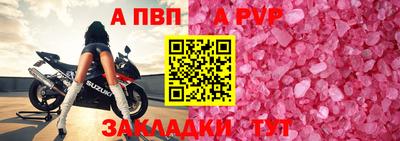 спиды Кингисепп