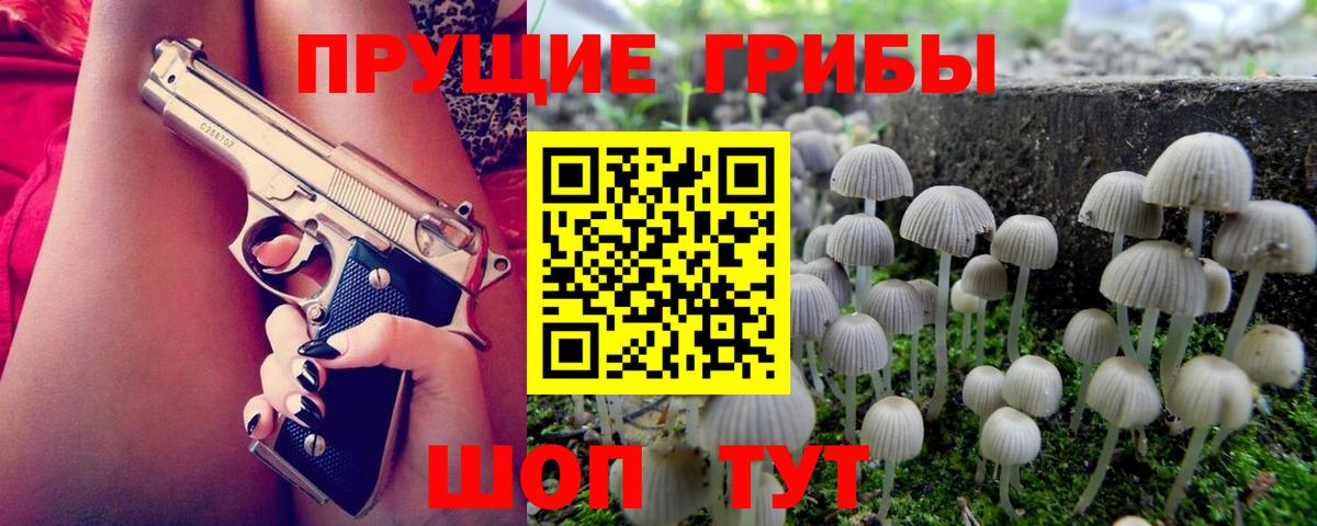Галлюциногенные грибы Magic Shrooms  закладки  Котельники  Вход с VPN 